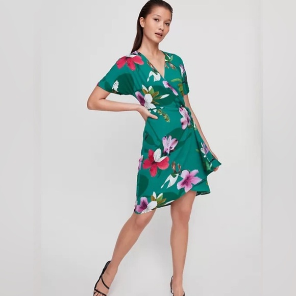 Aritzia Dresses & Skirts - Aritzia Babaton Wallace Floral Green Wrap Dress
